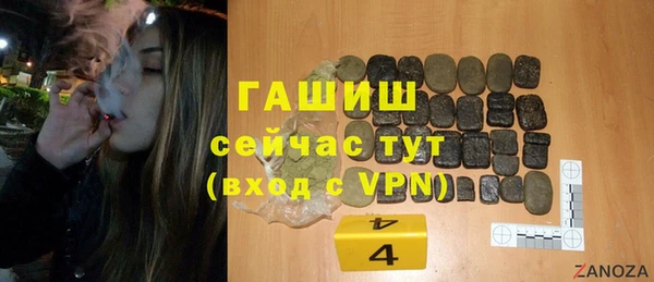 гашик Козельск