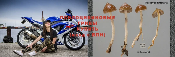 гидропоника Козловка