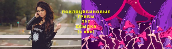 гашик Козельск