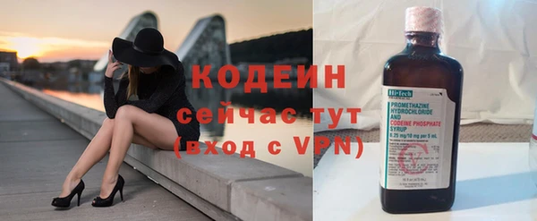 гашик Козельск