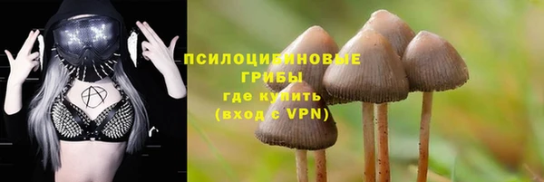 гидропоника Козловка