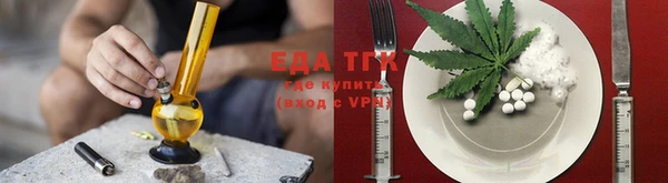 гашик Козельск