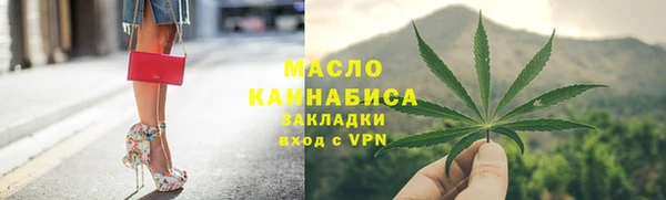 гашик Козельск