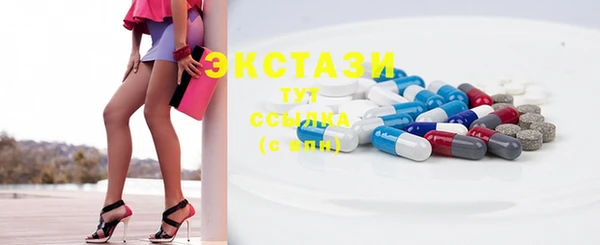 гашик Козельск