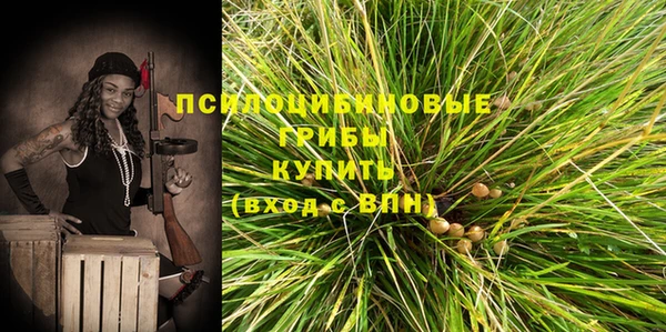 гашик Козельск