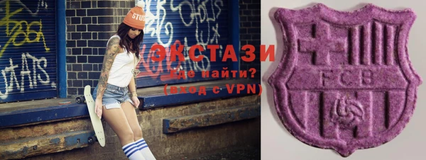 гашик Козельск