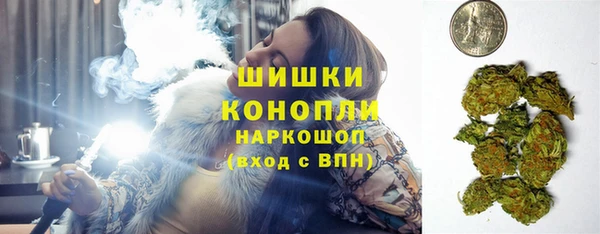 гашик Козельск